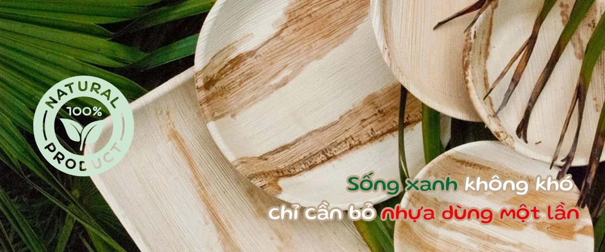 Sản phẩm từ mo cau – Giải pháp xanh thay thế nhựa 1 lần 6 ArecaViet.com - Sống xanh không khó chỉ cần bỏ nhựa dùng một lần