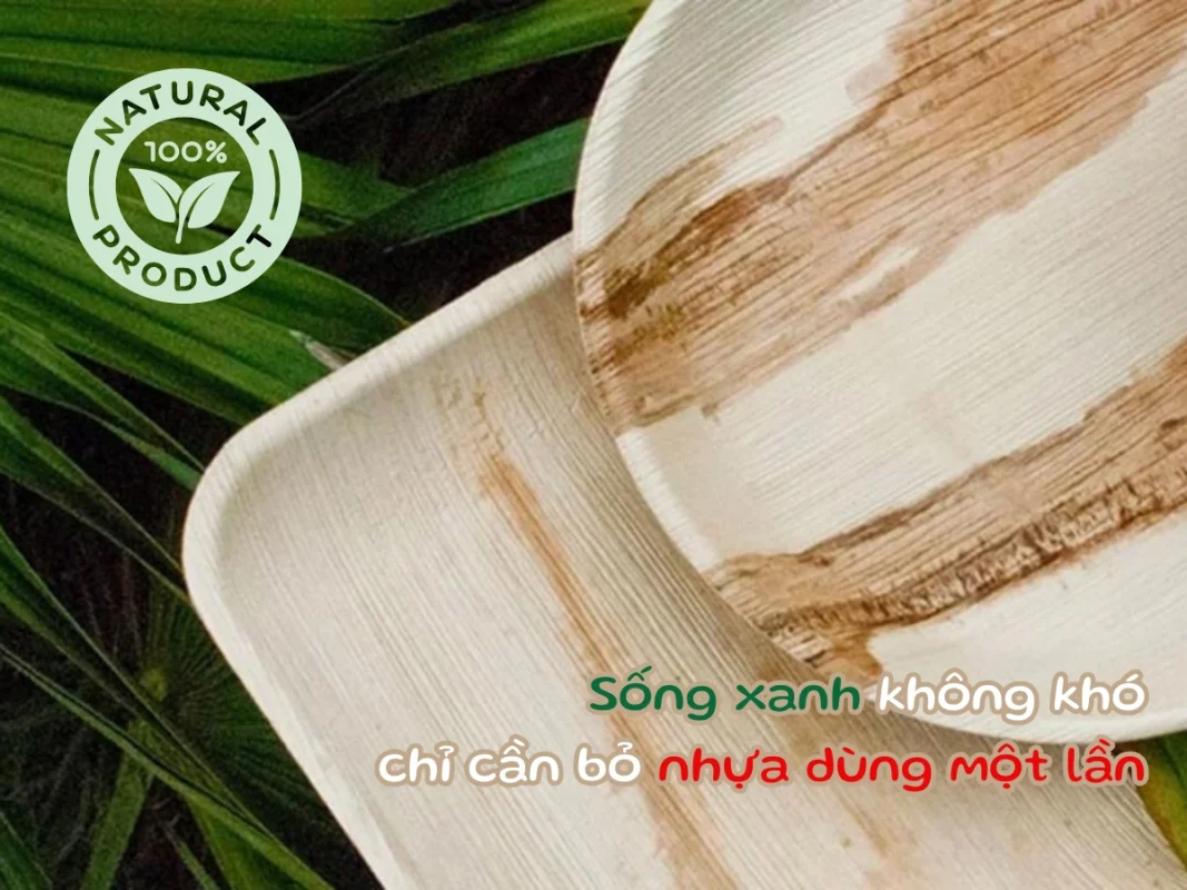 Báo Giá Chén Đĩa Mo Cau – 3 Lời Khuyên Khi Lựa Chọn Sản Phẩm Tốt Nhất từ ArecaViet 5 Sống xanh cùng sản phẩm từ mo cau | ArecaViet Mobile Slider