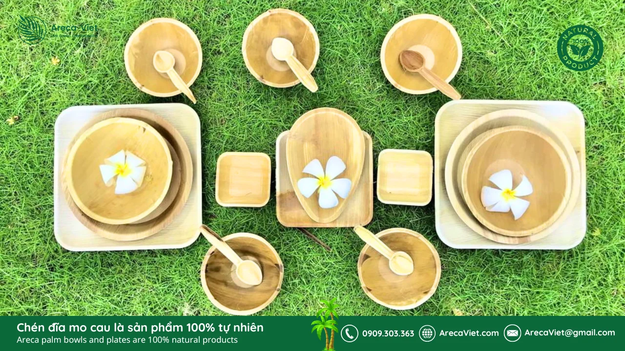Sản phẩm từ mo cau – Giải pháp xanh thay thế nhựa 1 lần 8 Chén đĩa mo cau phù hợp cho các hoạt động dã ngoại, picnic và cắm trại