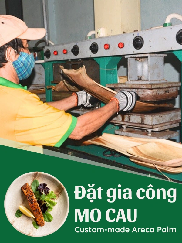 Sản phẩm từ mo cau – Giải pháp xanh thay thế nhựa 1 lần 7 Gia Công Mo Cau tại ArecaViet: Chén Đĩa, Tô, Muỗng Mo Cau Chất Lượng Cao