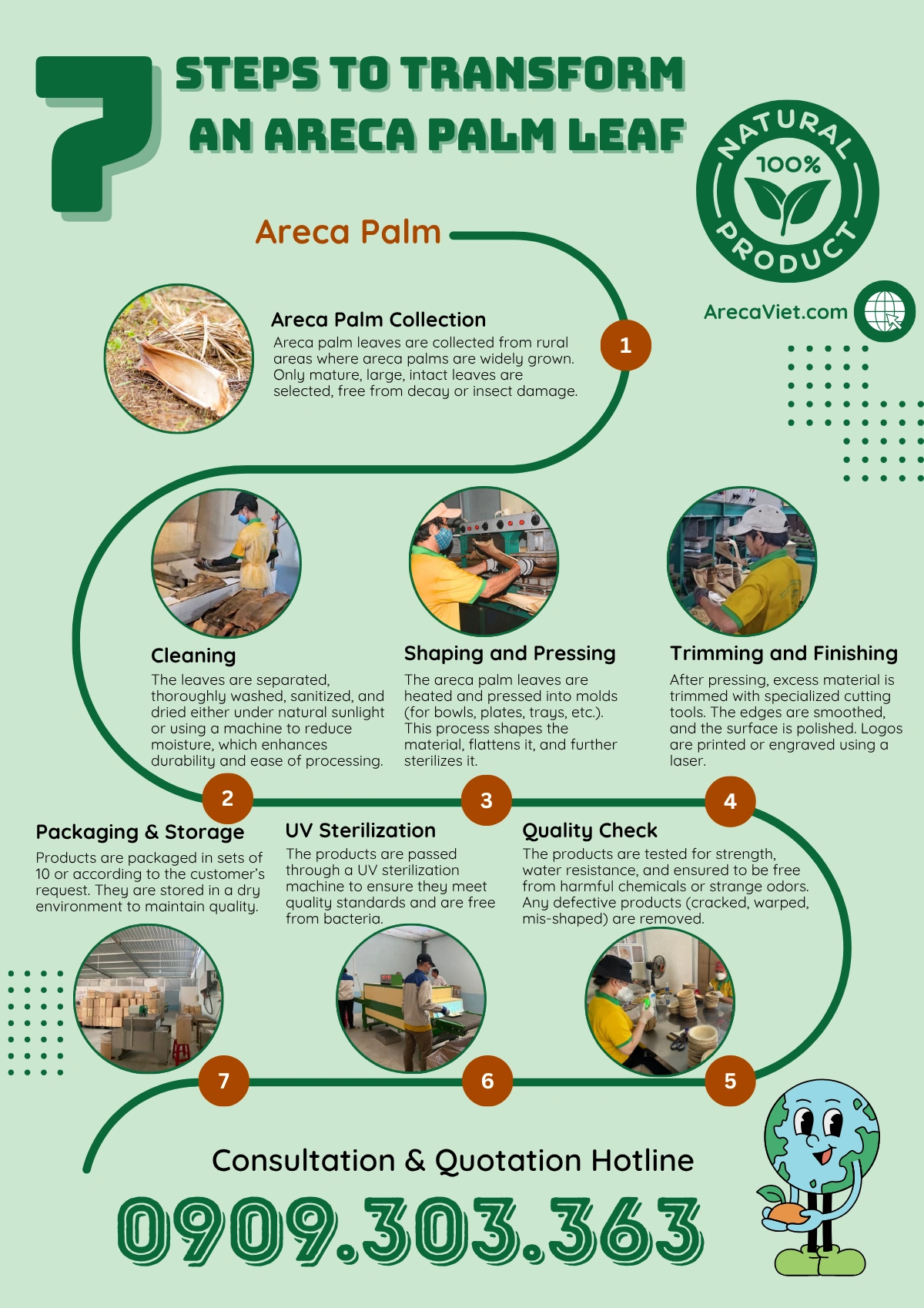 Lịch sử và ý nghĩa của chén đĩa mo cau trong đời sống Việt 2 7 STEPS TO TRANSFORM AN ARECA PALM LEAF | ArecaViet.com