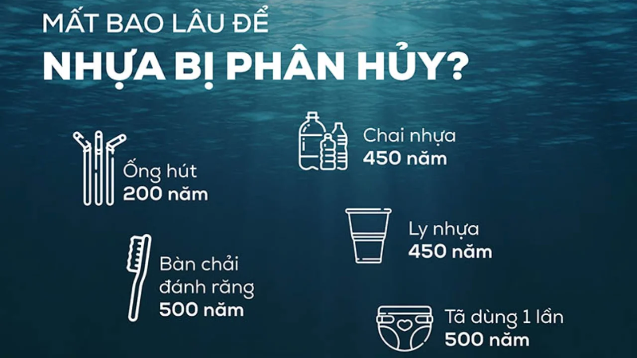 Sản phẩm từ mo cau – Giải pháp xanh thay thế nhựa 1 lần 4 Mất bao lâu để nhựa bị phân huỷ