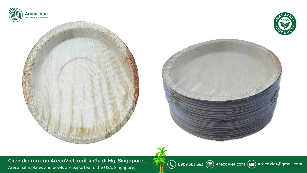 Báo Giá Chén Đĩa Mo Cau – 3 Lời Khuyên Khi Lựa Chọn Sản Phẩm Tốt Nhất từ ArecaViet 1 Cách bảo quản chén đĩa mo cau bền lâu