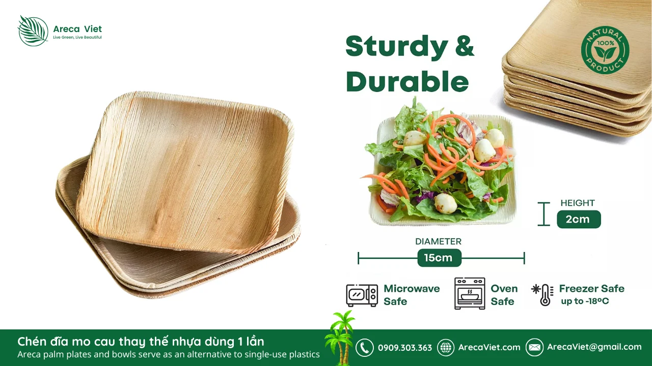 Báo Giá Chén Đĩa Mo Cau – 3 Lời Khuyên Khi Lựa Chọn Sản Phẩm Tốt Nhất từ ArecaViet 2 Chen dia mo cau thay the nhua dung 1 lan Areca palm plates and bowls serve as an alternative to single use plastics 11