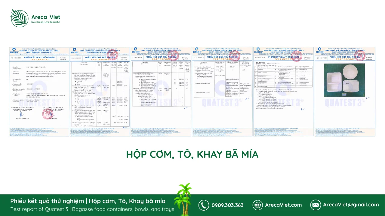 QUATEST3 Hop com to khay ba mia ArecaViet